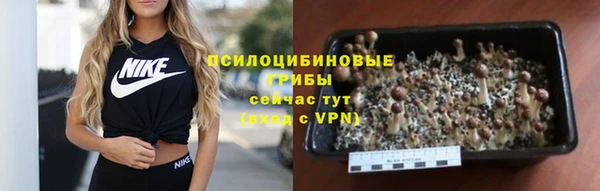 кокс Ростов