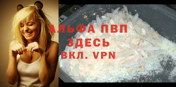кокс Ростов