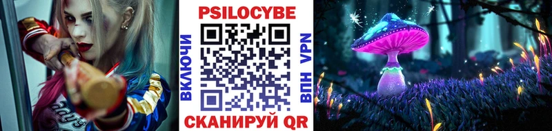Купить  Сретенск  Псилоцибиновые грибы Cubensis 