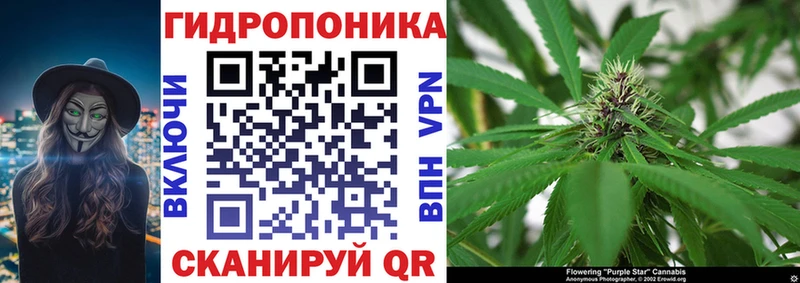 Марихуана план  Купить где  Сретенск 